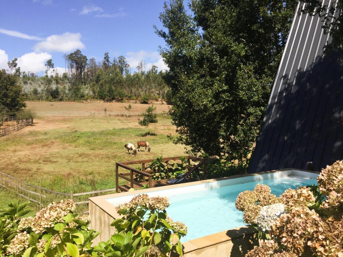 Vale Da Silva Villas - Quinta Albergaria-a-Velha Luaran gambar
