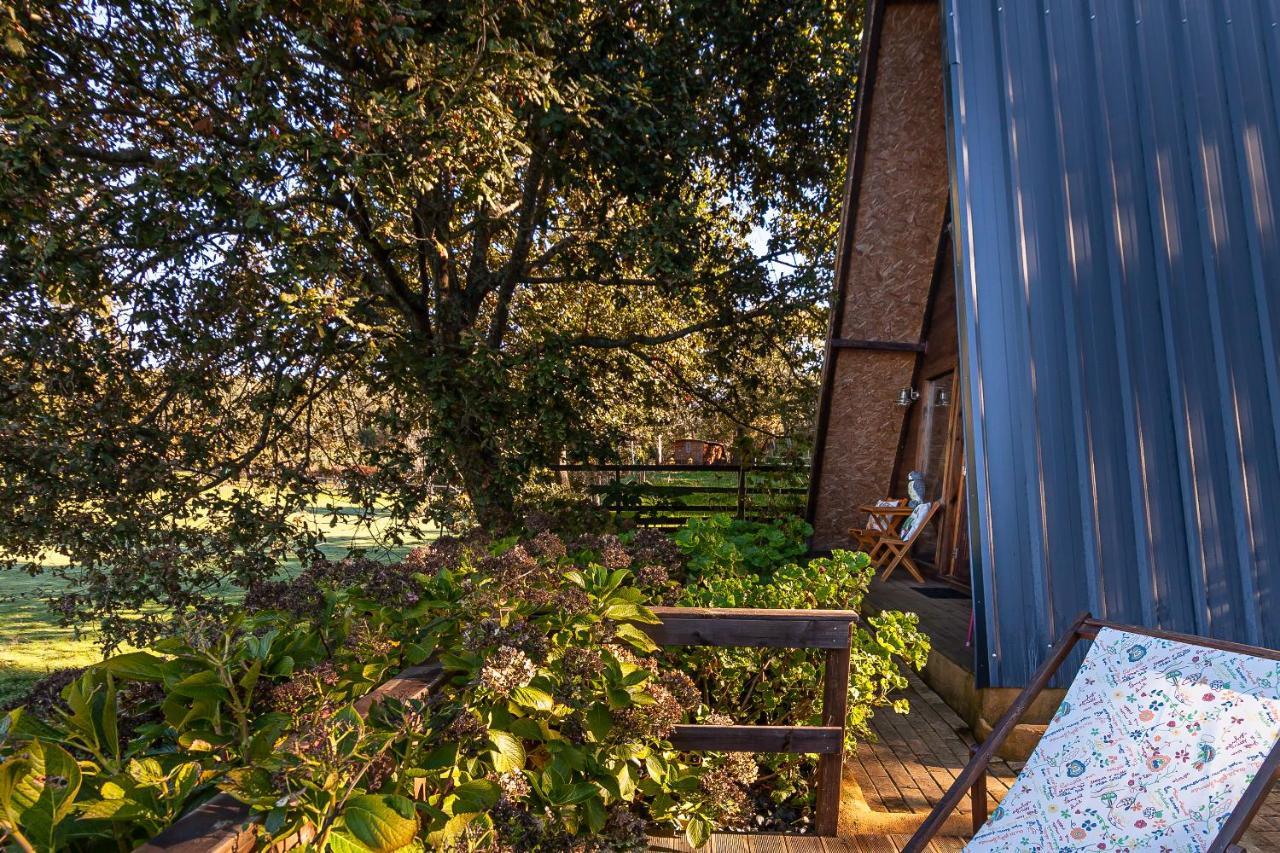 Vale Da Silva Villas - Quinta Albergaria-a-Velha Luaran gambar