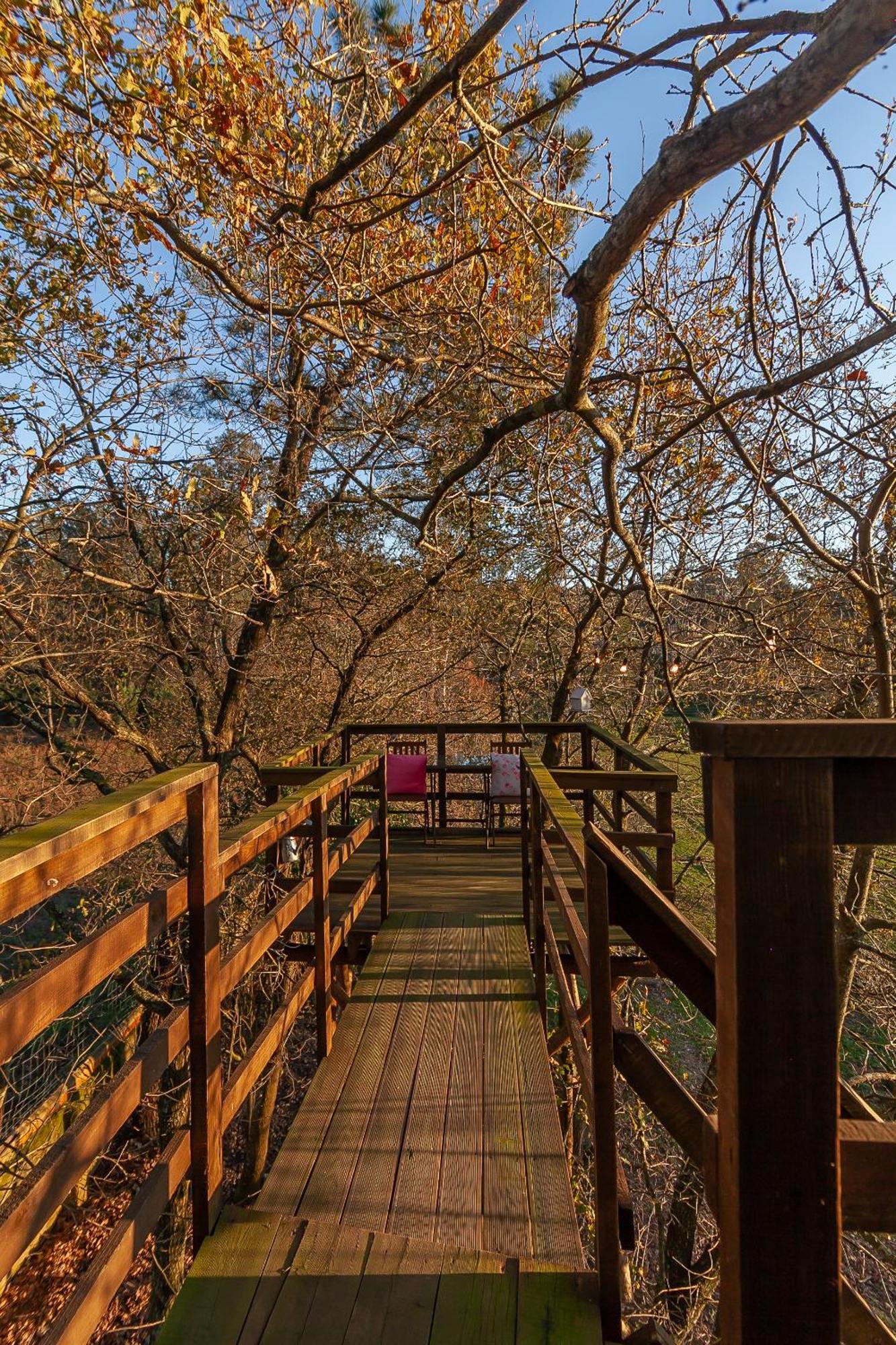 Vale Da Silva Villas - Quinta Albergaria-a-Velha Bilik gambar