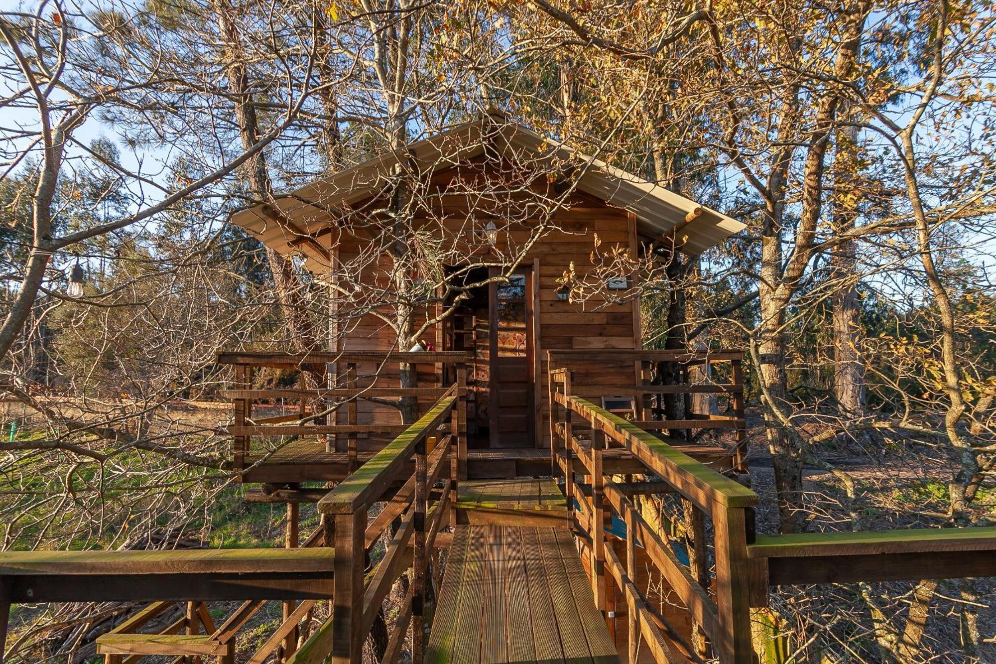 Vale Da Silva Villas - Quinta Albergaria-a-Velha Bilik gambar